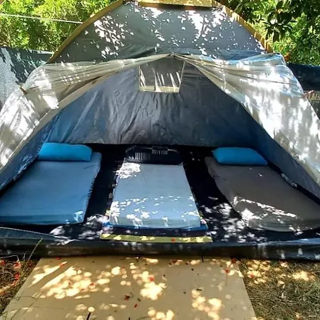 Gonca Camping-Adrasan Luxury tent